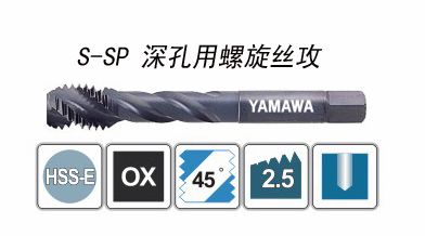 ���������˿��